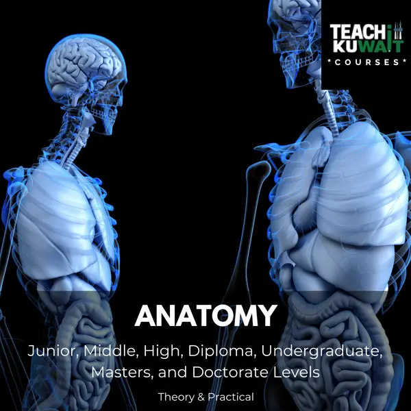 All Courses - Anatomy